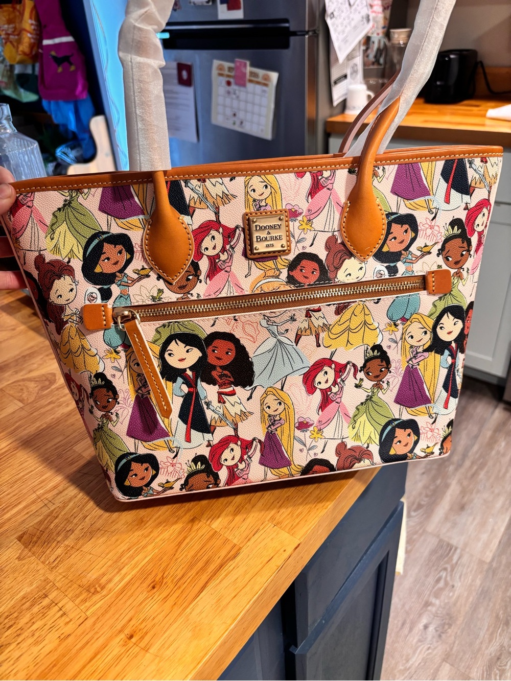 Dooney & Burke princess tote bag, New with tags!!